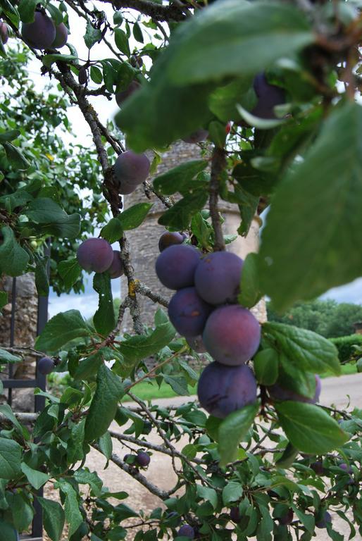 Mas De Garrigue Bed & Breakfast Calvignac ภายนอก รูปภาพ