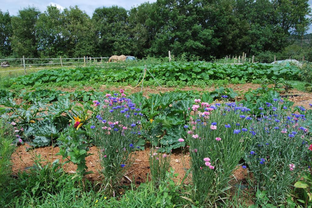 Mas De Garrigue Bed & Breakfast Calvignac ภายนอก รูปภาพ